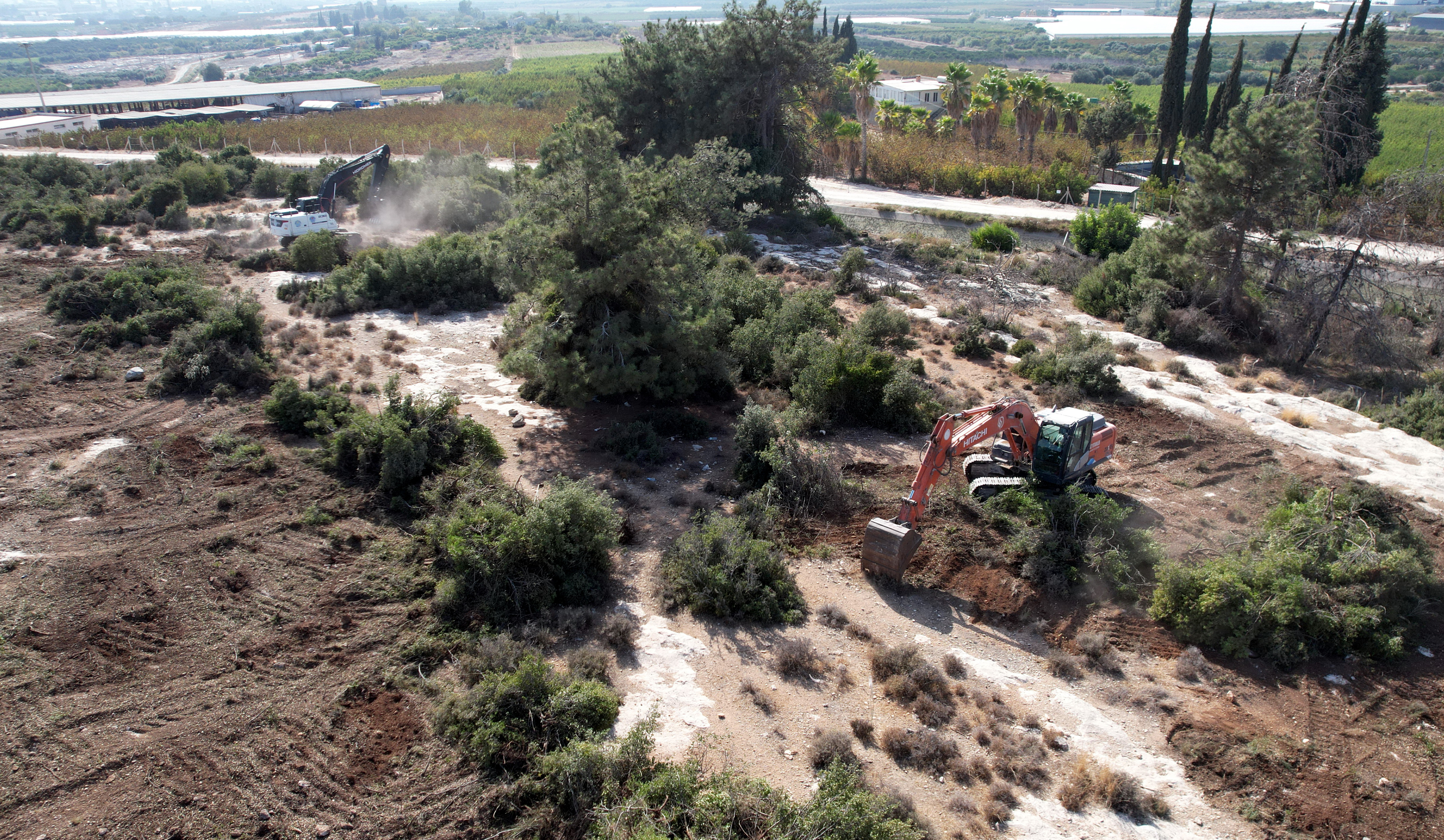 Sokak Hayvanları Doğal Yaşam Alanı (1)