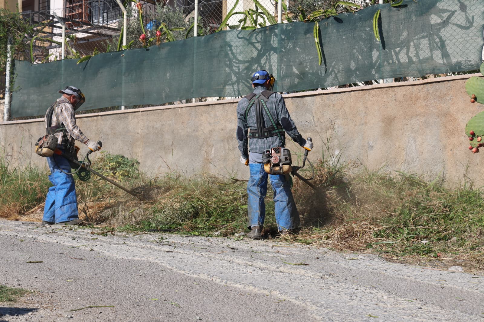 Toplu Temizlik Çalışması (3)