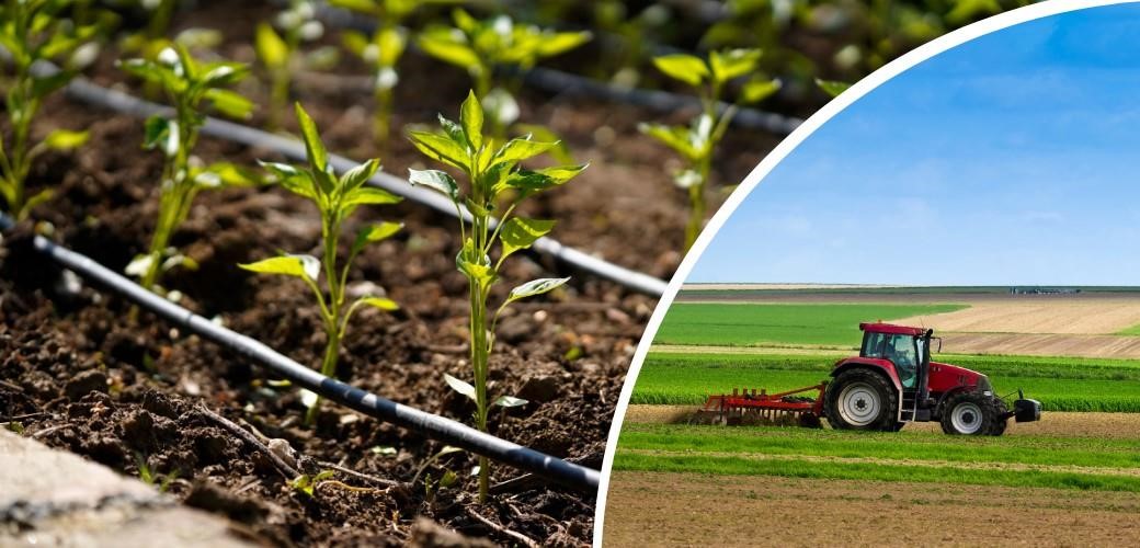 20231210Aw095304 (1)