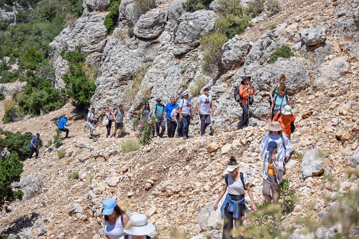 27354420250610090940