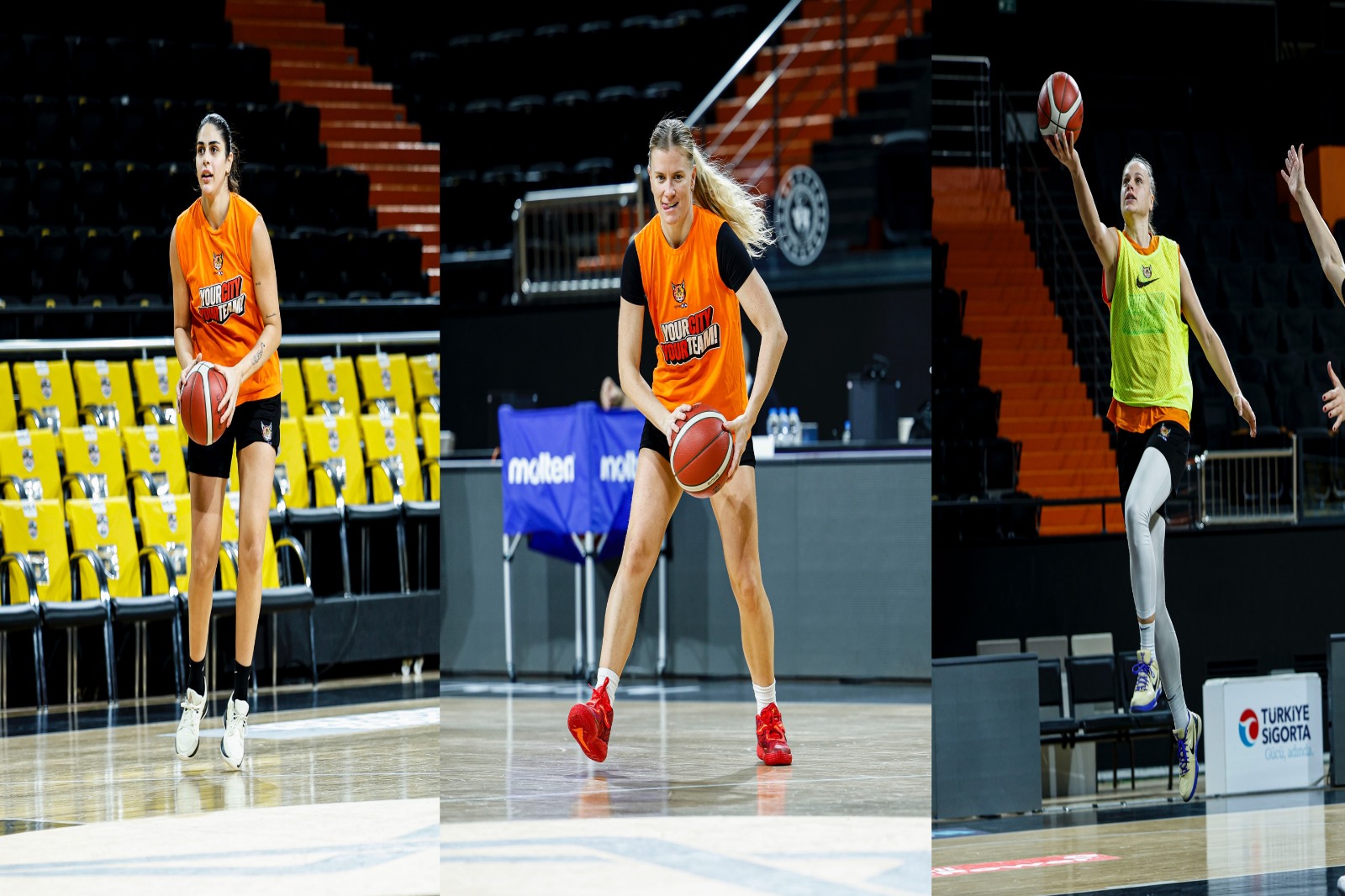 42D50A39 317A 48Cd 8A56 E90C1C1F03D0