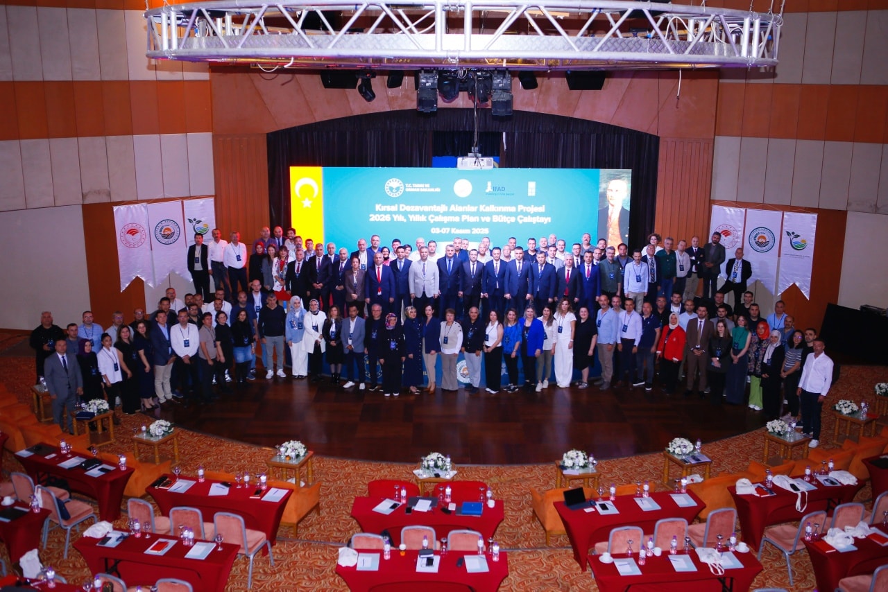 575177557 1295188235983552 1283969181105609668 N