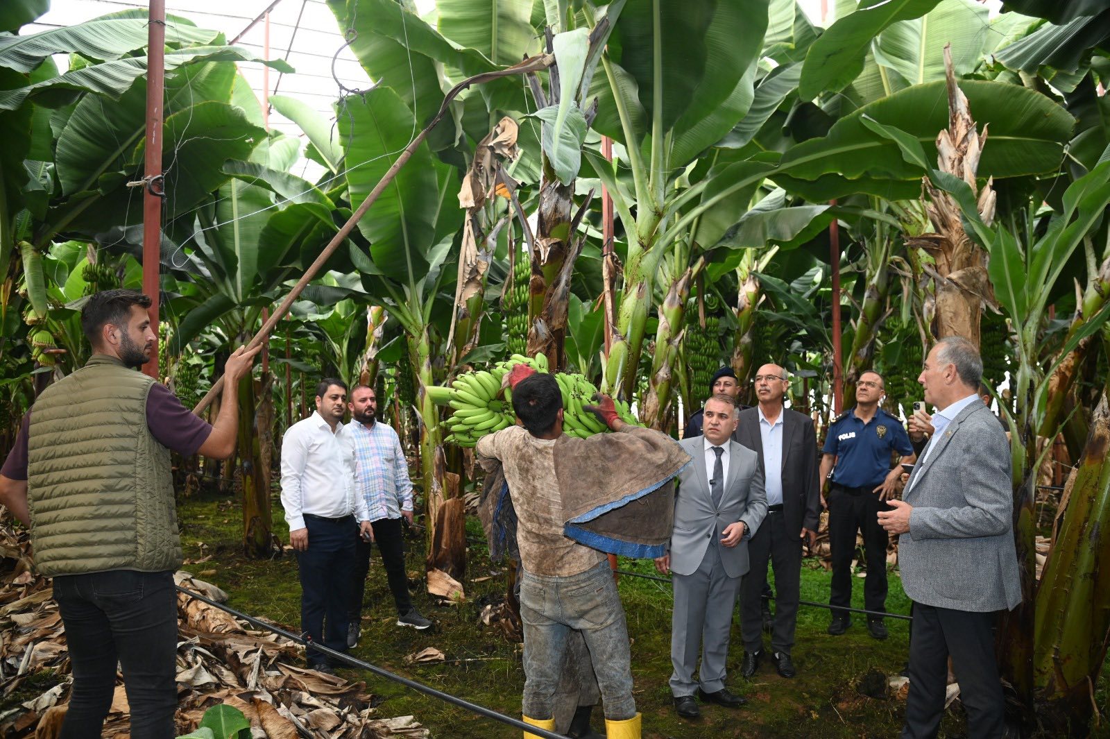 576663597 2613860925647101 840151572377491526 N