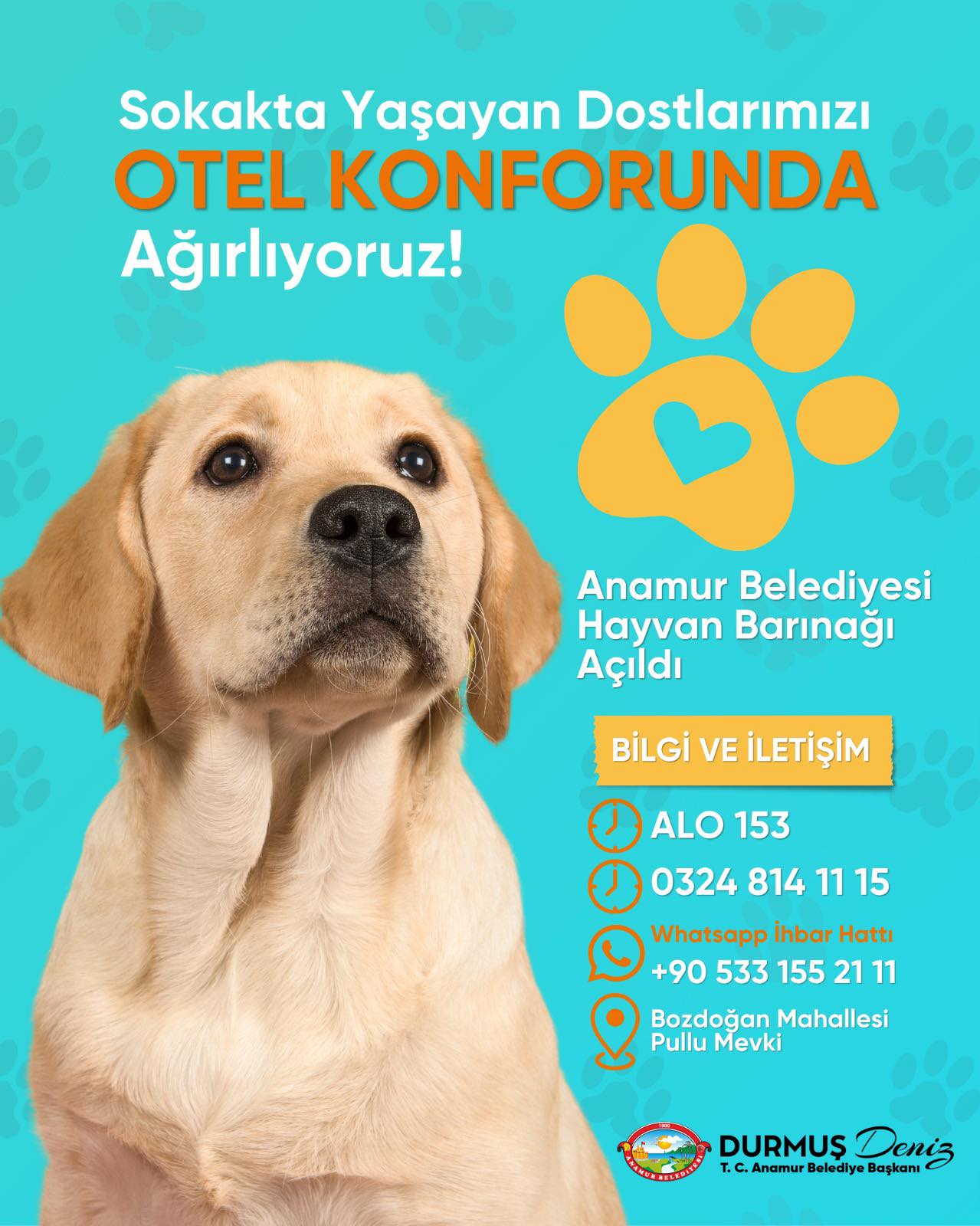 577826035 1463855322409952 1427133133486330787 N