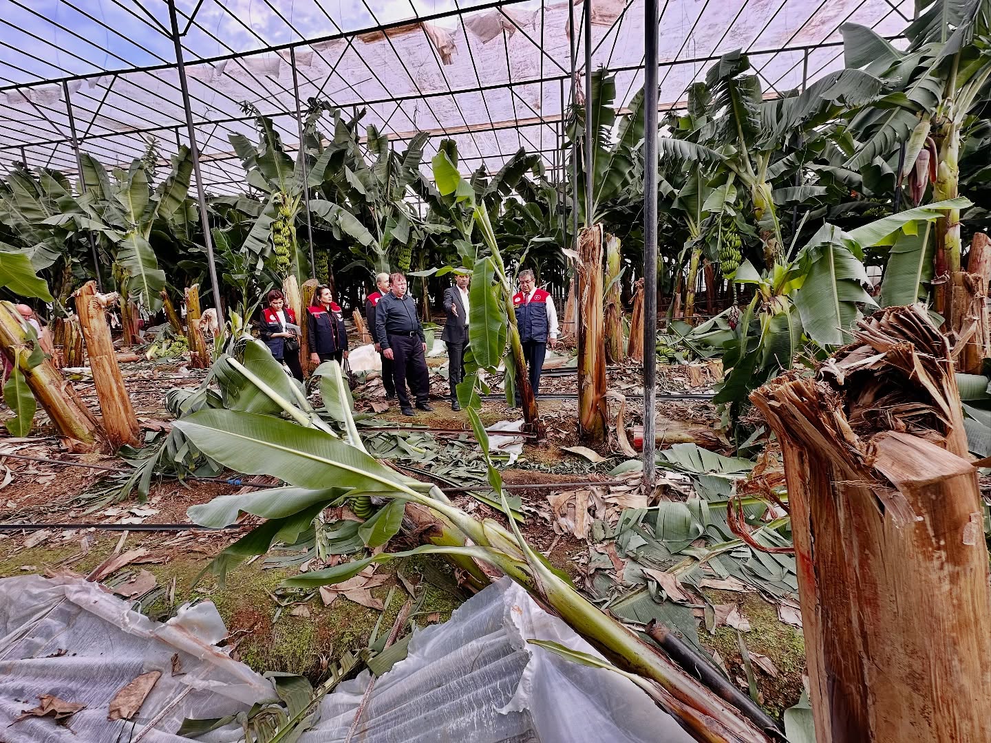 582648356 18337086571228035 2634356505514106658 N