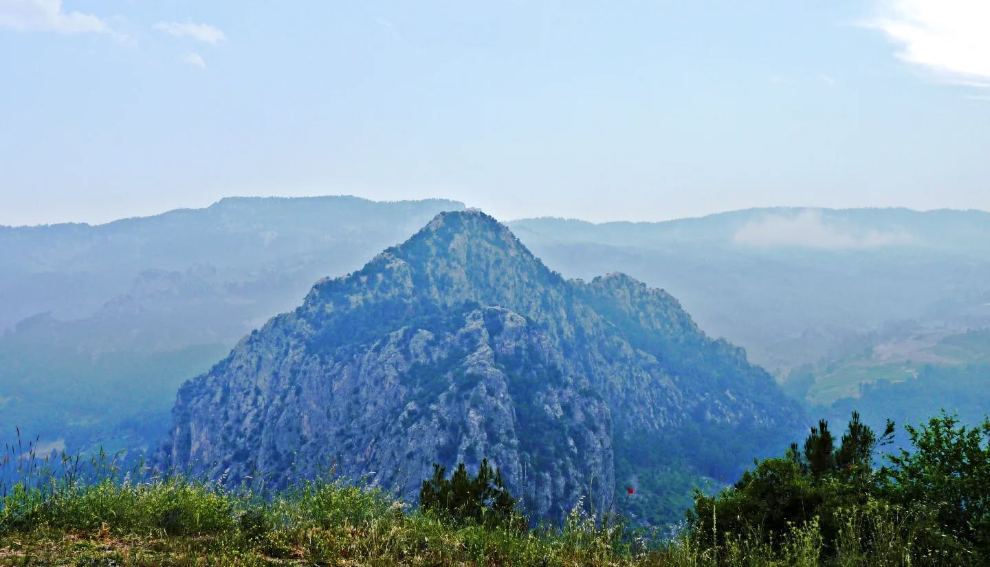 582688753 18302023762253110 4784452414123620798 N (1)