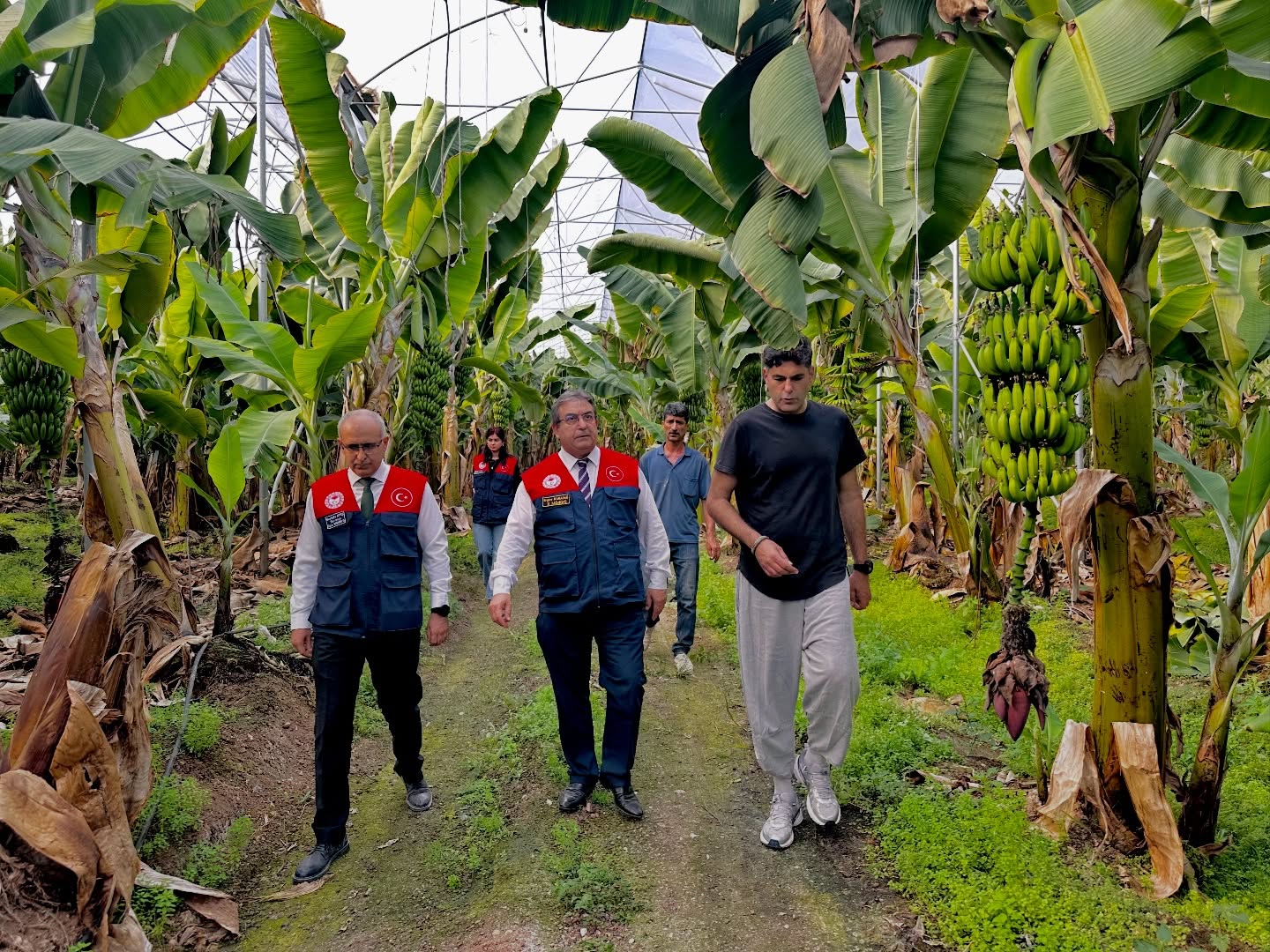 584884380 18337898260228035 2315270657956739882 N