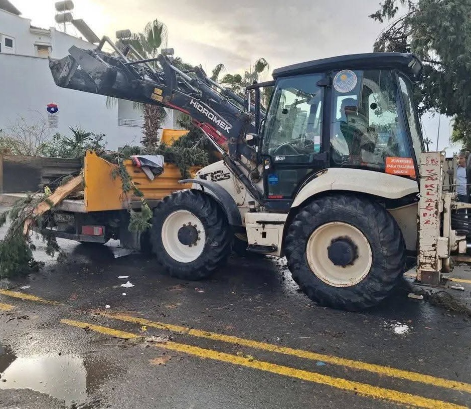 586683575 18546016081006132 6192834841491527802 N