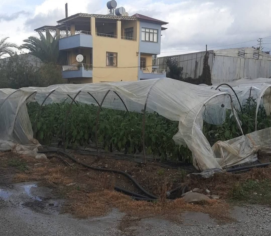 587995199 18546016078006132 449968792844955413 N