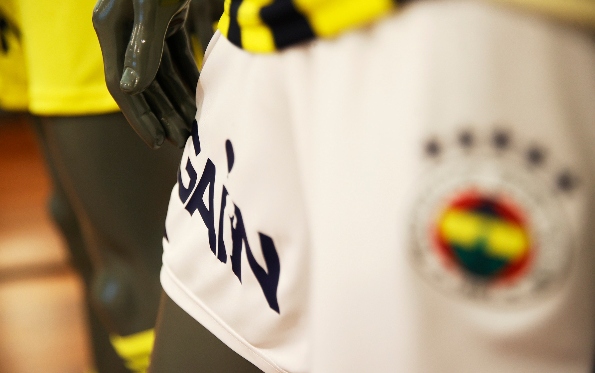 589550649 1395214378635861 872504538626139276 N