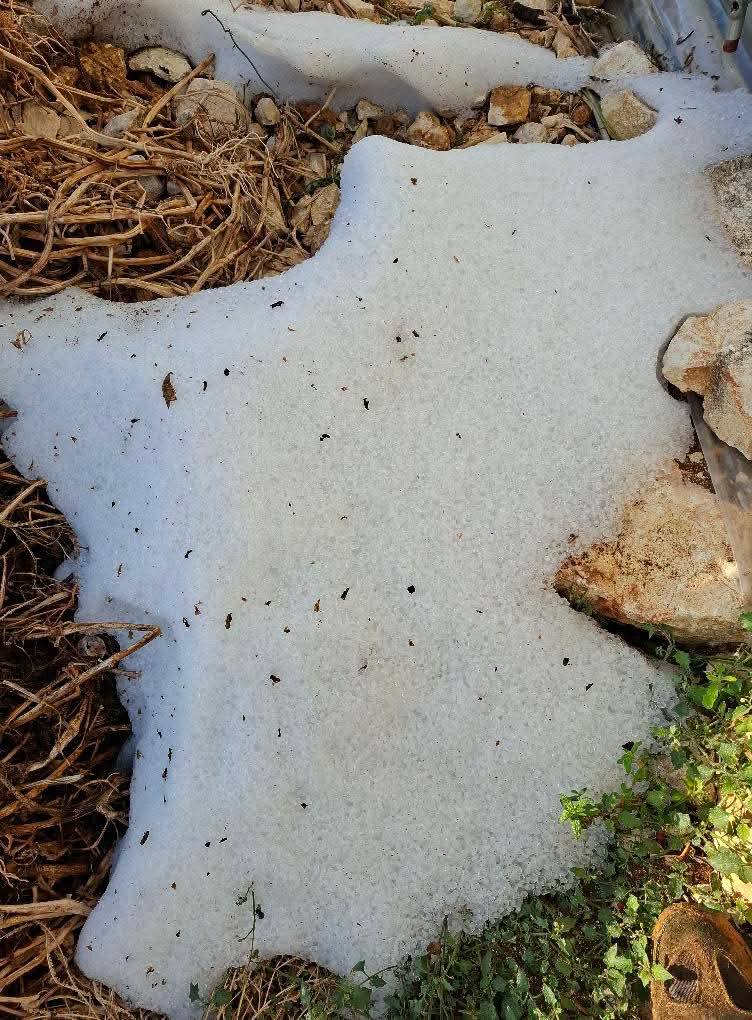 593540952 4153269644936602 7144382876316186581 N