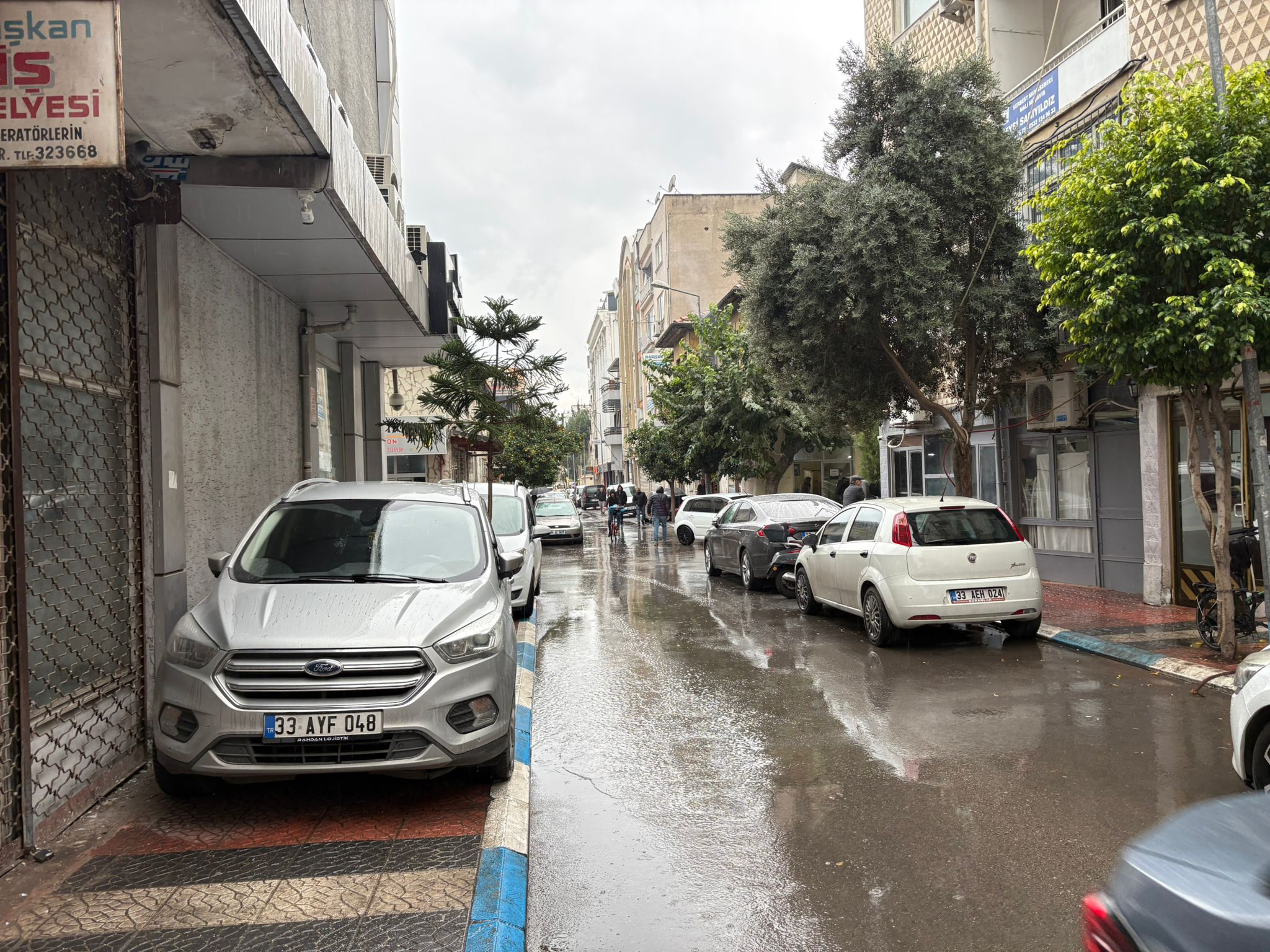 8E07D5A5 1779 4919 9Dfc C955A6097B25