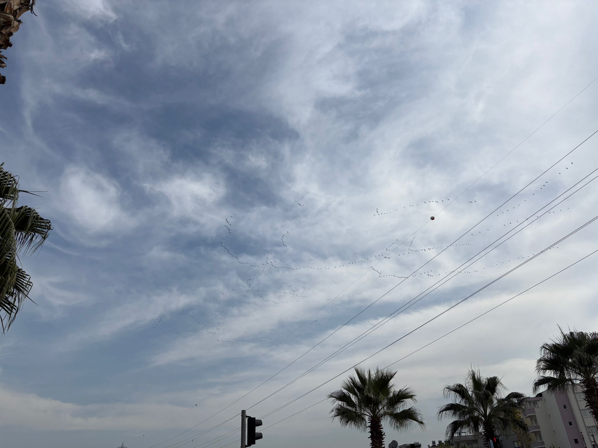 D0429Bb8 Edd6 4Fd3 8269 Ecfe55917Cc4