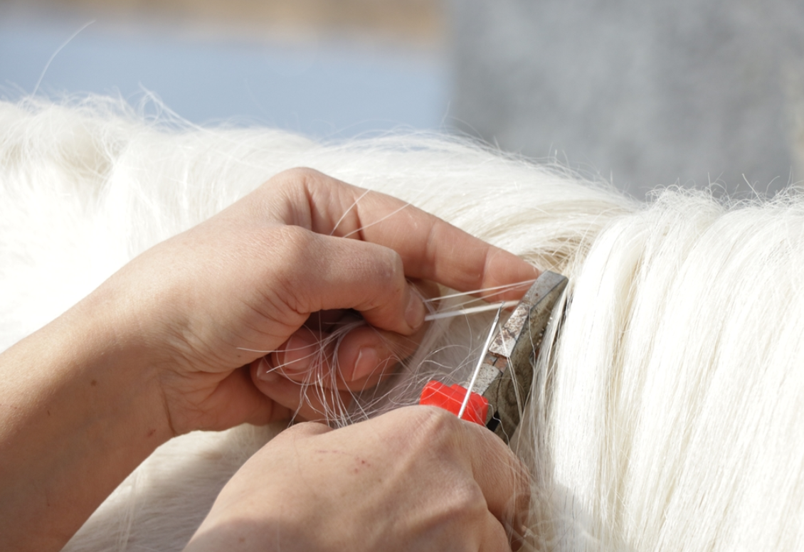 Ekran Görüntüsü 2025 11 12 134731