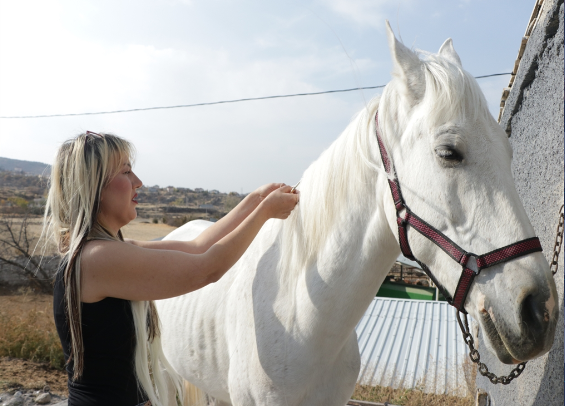 Ekran Görüntüsü 2025 11 12 135040