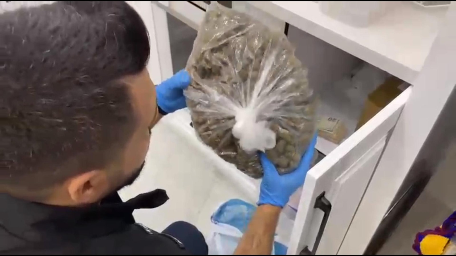 I M G 20251120 W A0002