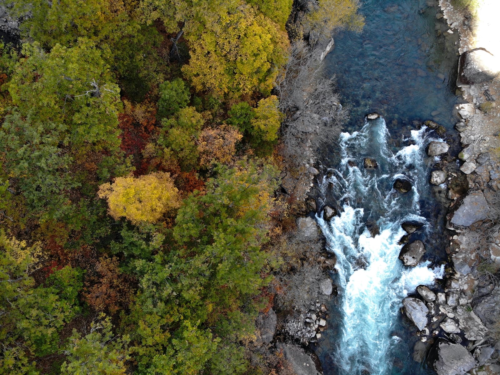 M A H K E M E M U N Z U R’ D A D O G A L S I T A L A N I I P T A L 1035397 307270