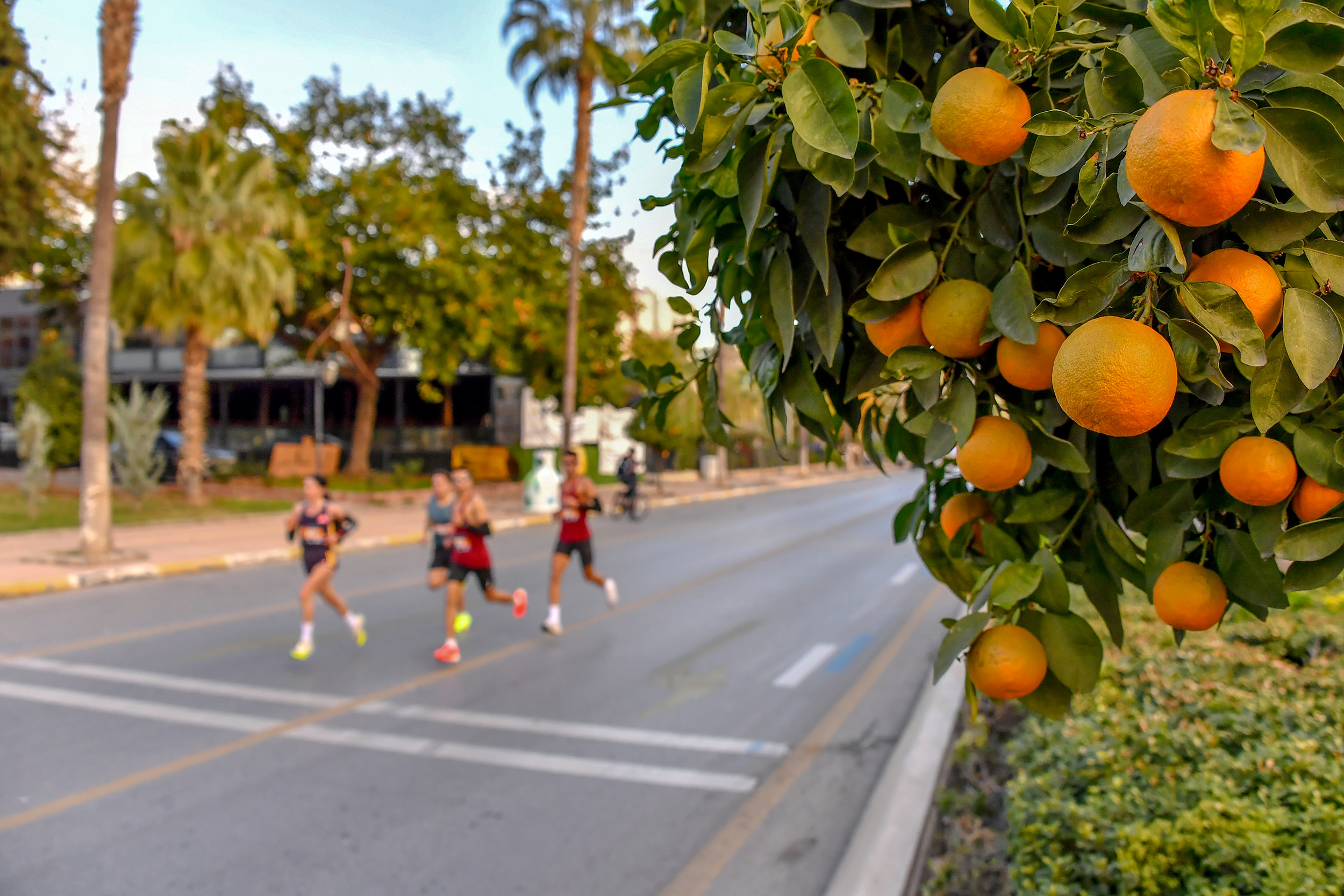 Sporun Bi̇rleşti̇ri̇ci̇ Gücü Mersi̇n Maratonu İle Vücut Buluyor (5)