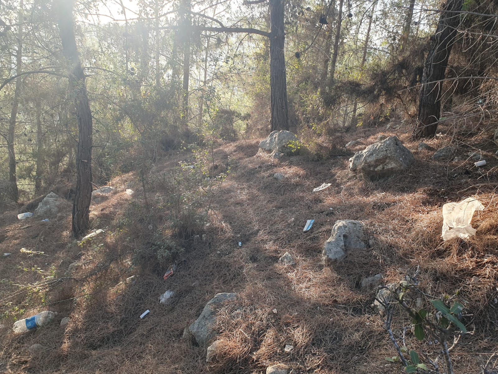 Whatsapp Görsel 2025 11 23 Saat 19.47.56 B115Ac59-1