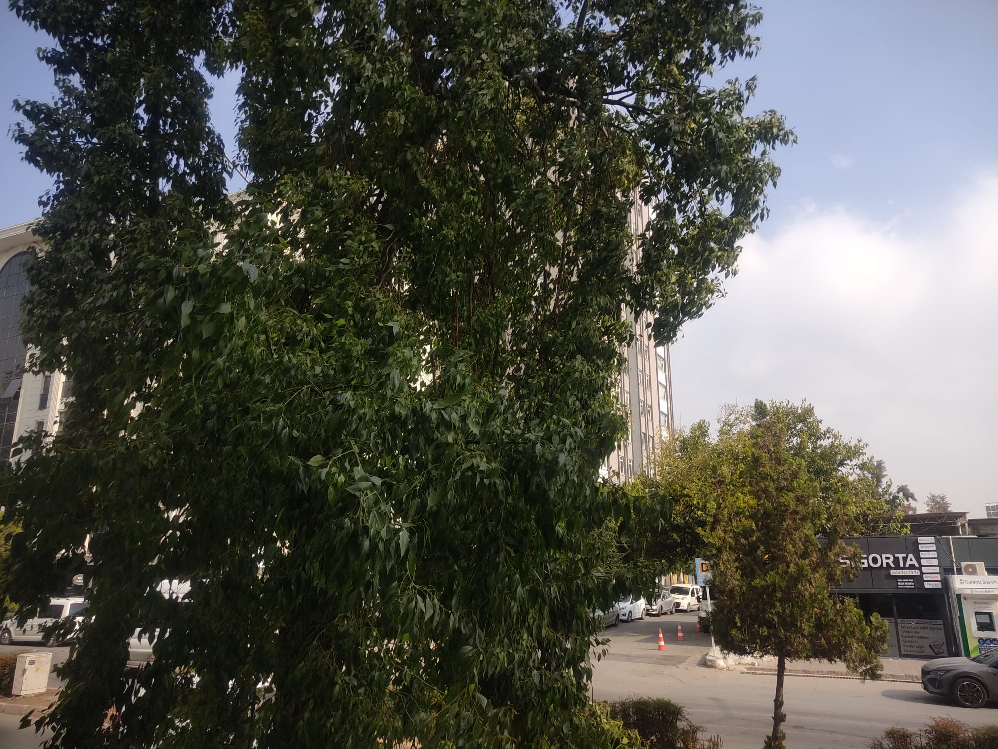 Whatsapp Image 2025 11 06 At 11.27.23