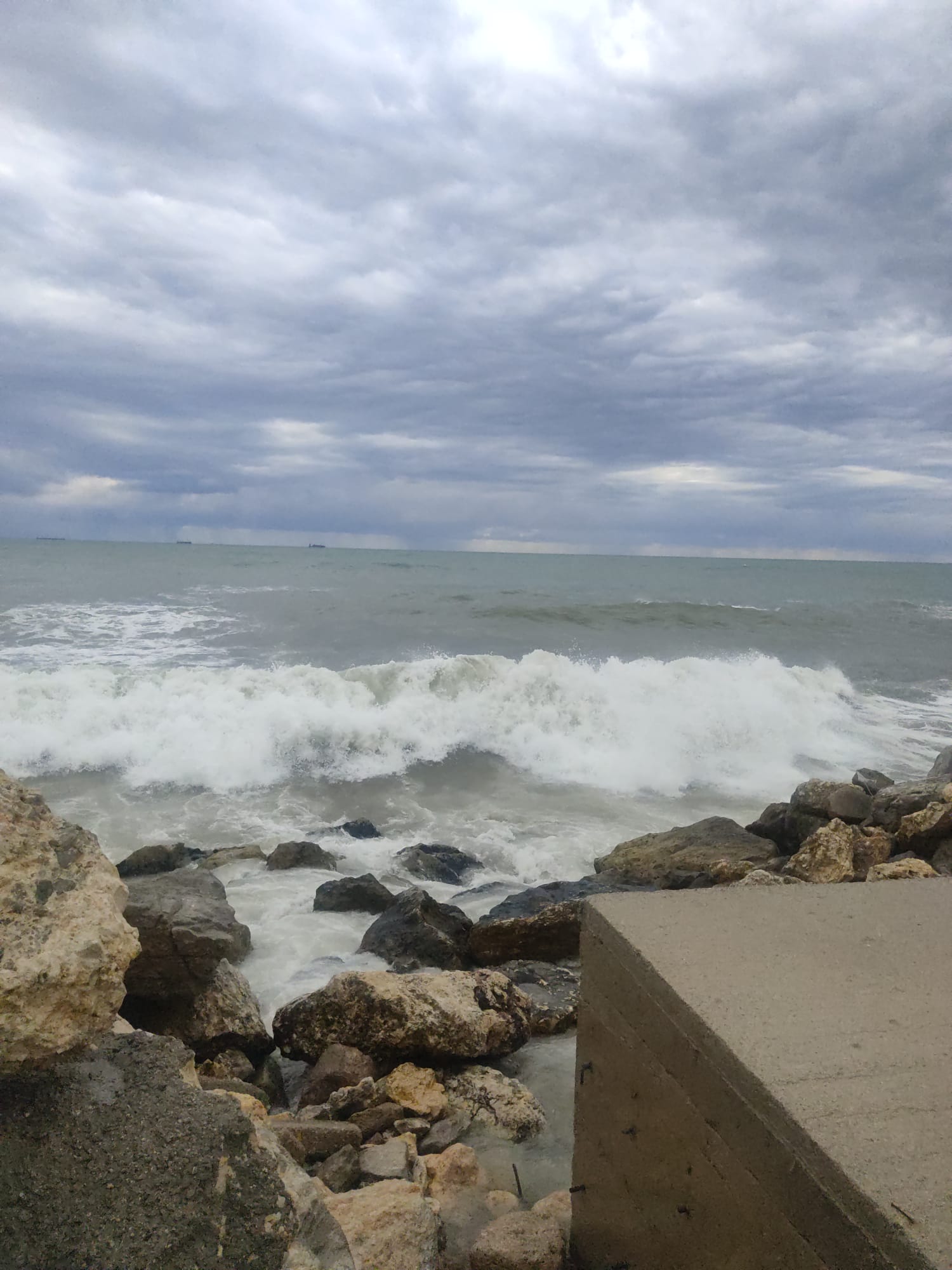 Whatsapp Image 2025 11 06 At 11.27.41