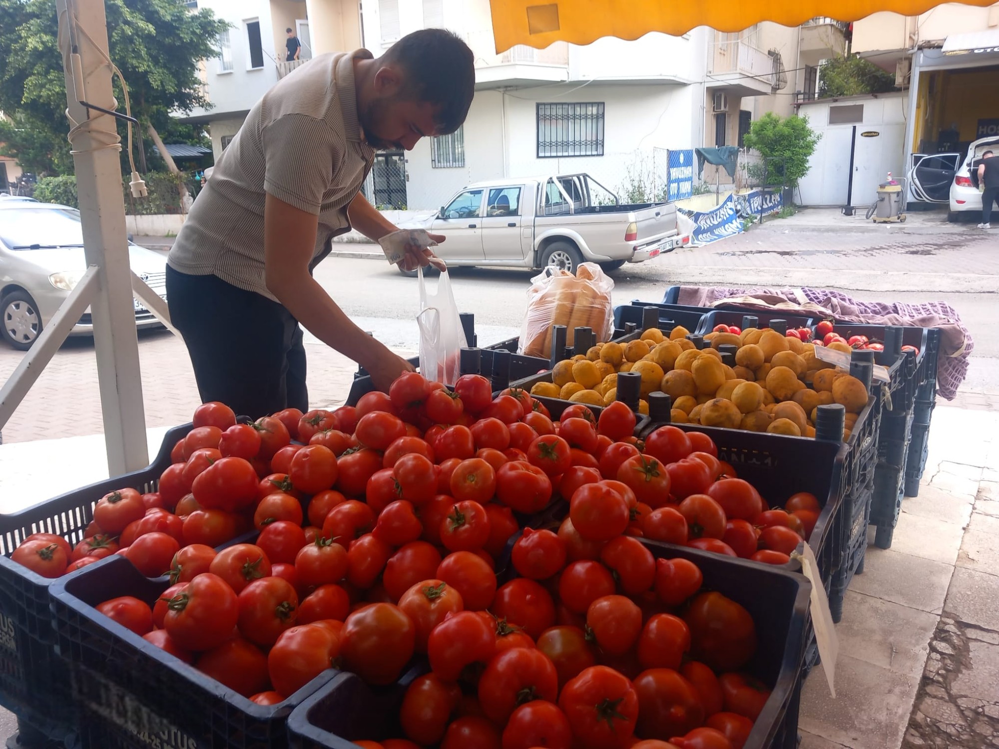 Whatsapp Image 2025 11 14 At 16.08.14