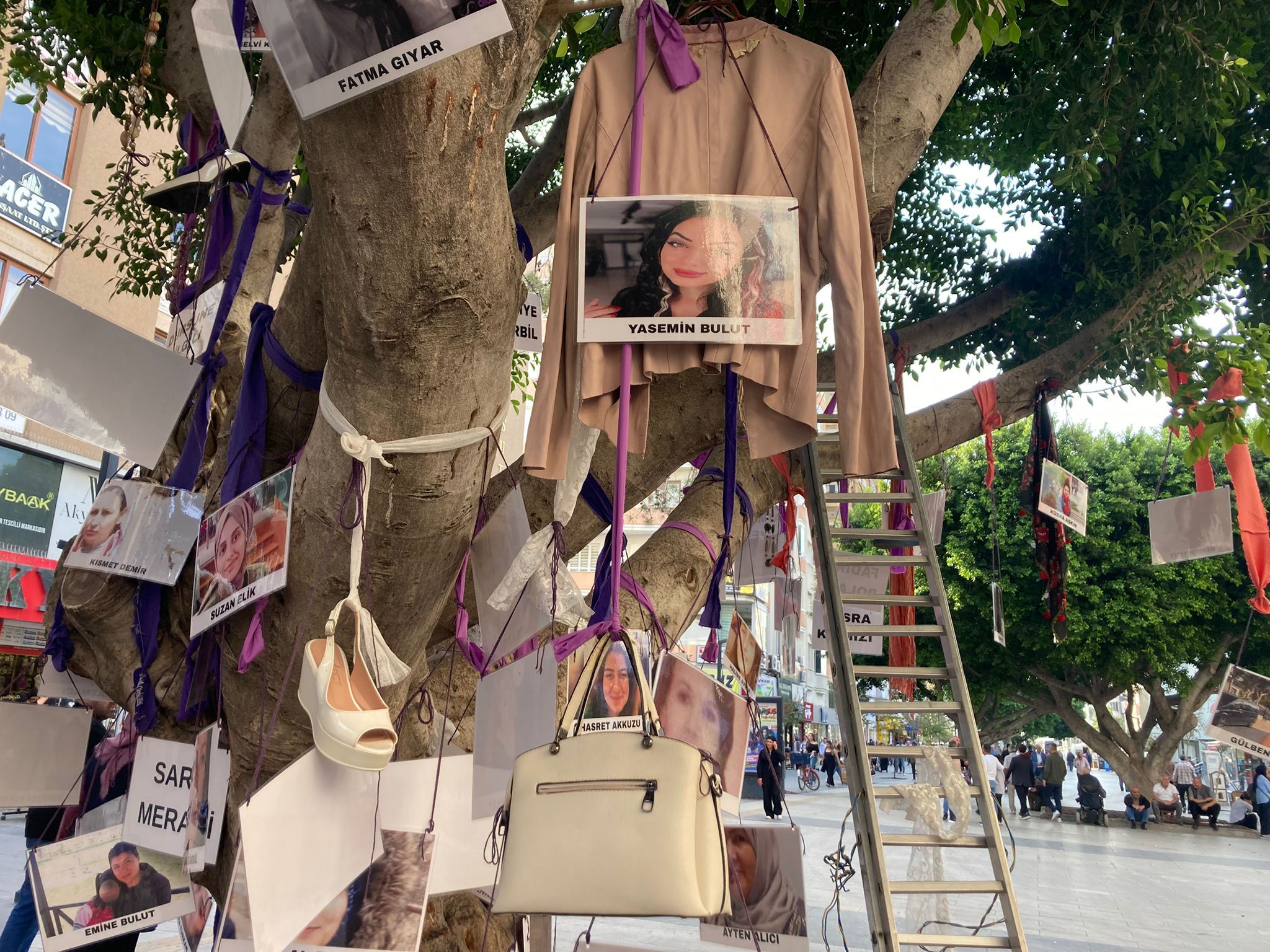 Whatsapp Image 2025 11 21 At 15.31.10