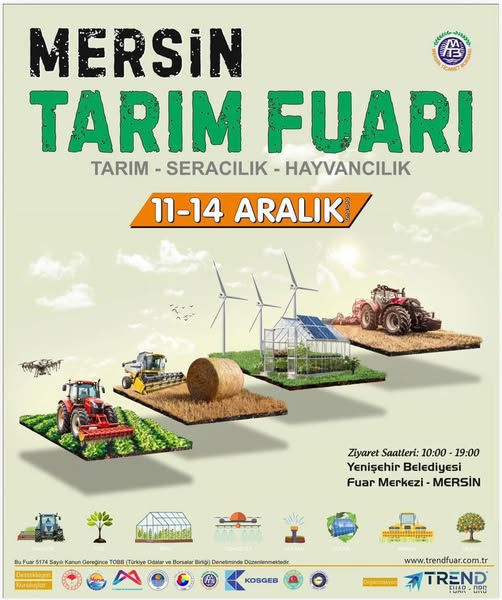 591740578 1247757200780266 5881405464341765281 N