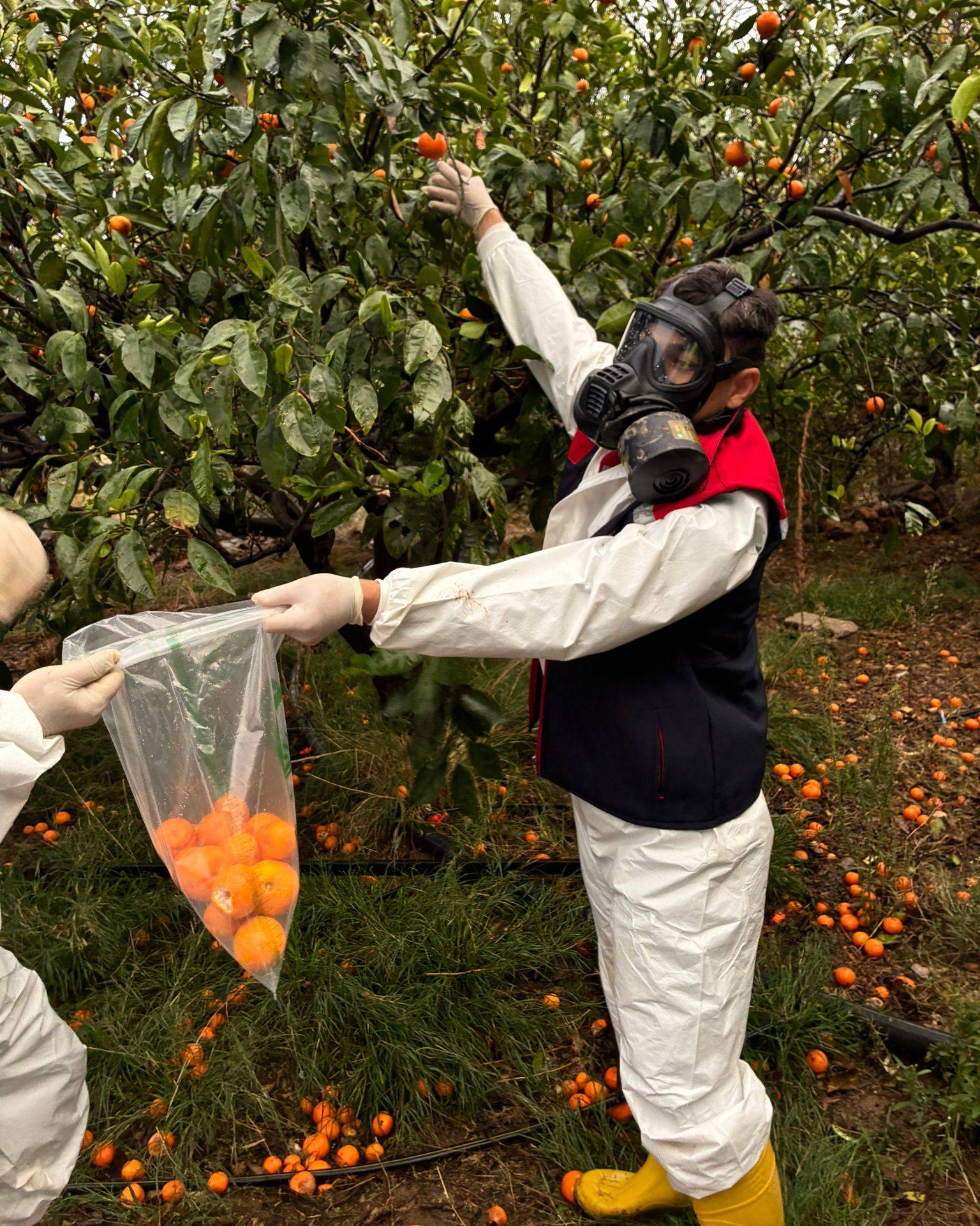 597720960 1327760816059627 2798915563711922121 N