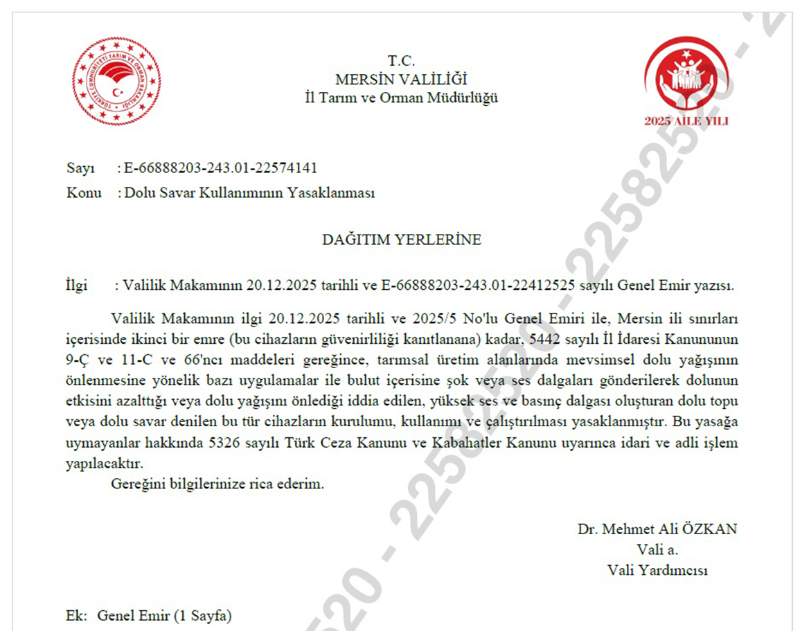 602322512 1265699855652667 4323421301740383277 N