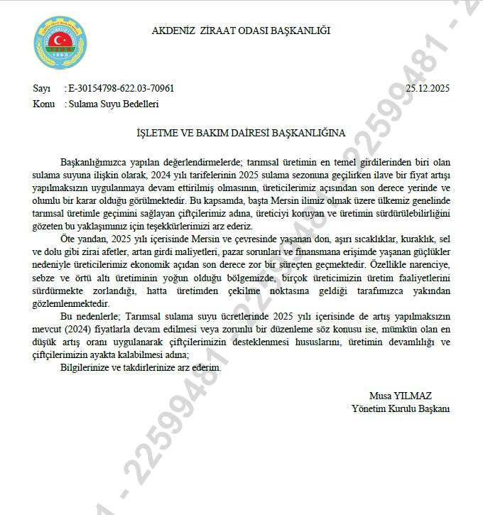 605083377 799092206510107 6713759589353359483 N