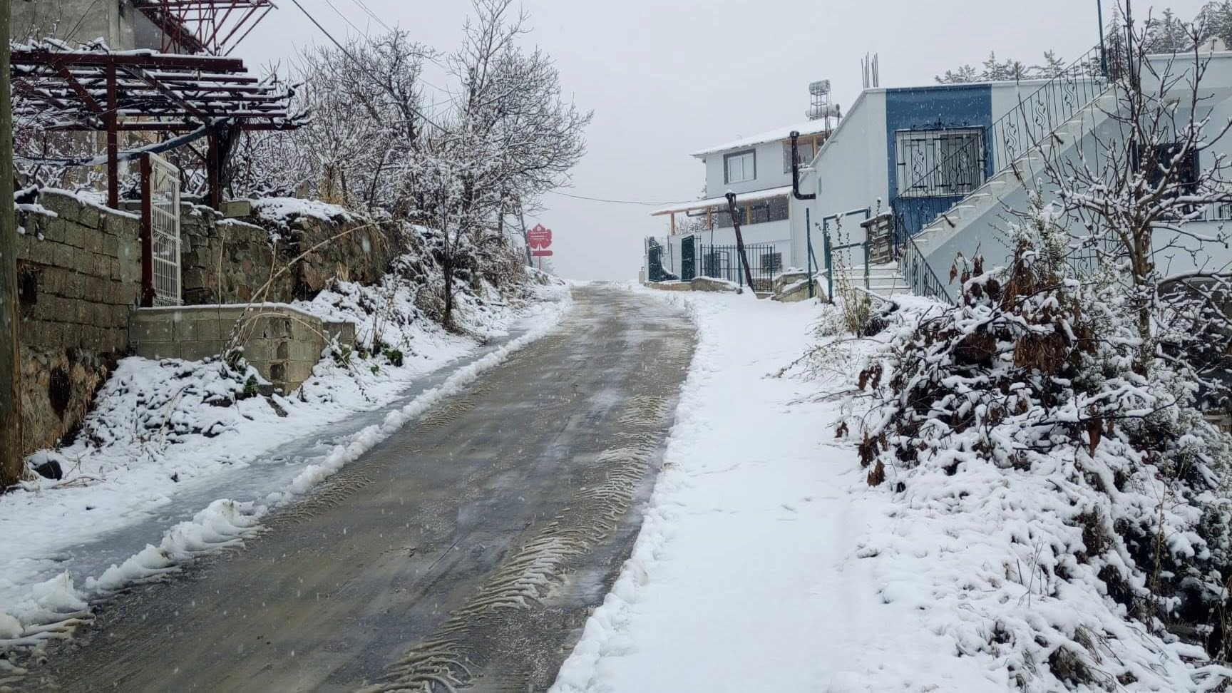 605575792 1289750123197200 8128938798712887813 N