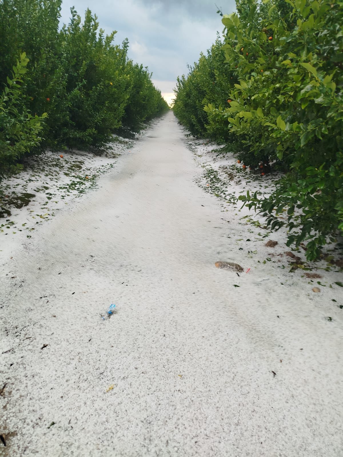 605870694 18547114006030832 9114158216011490850 N