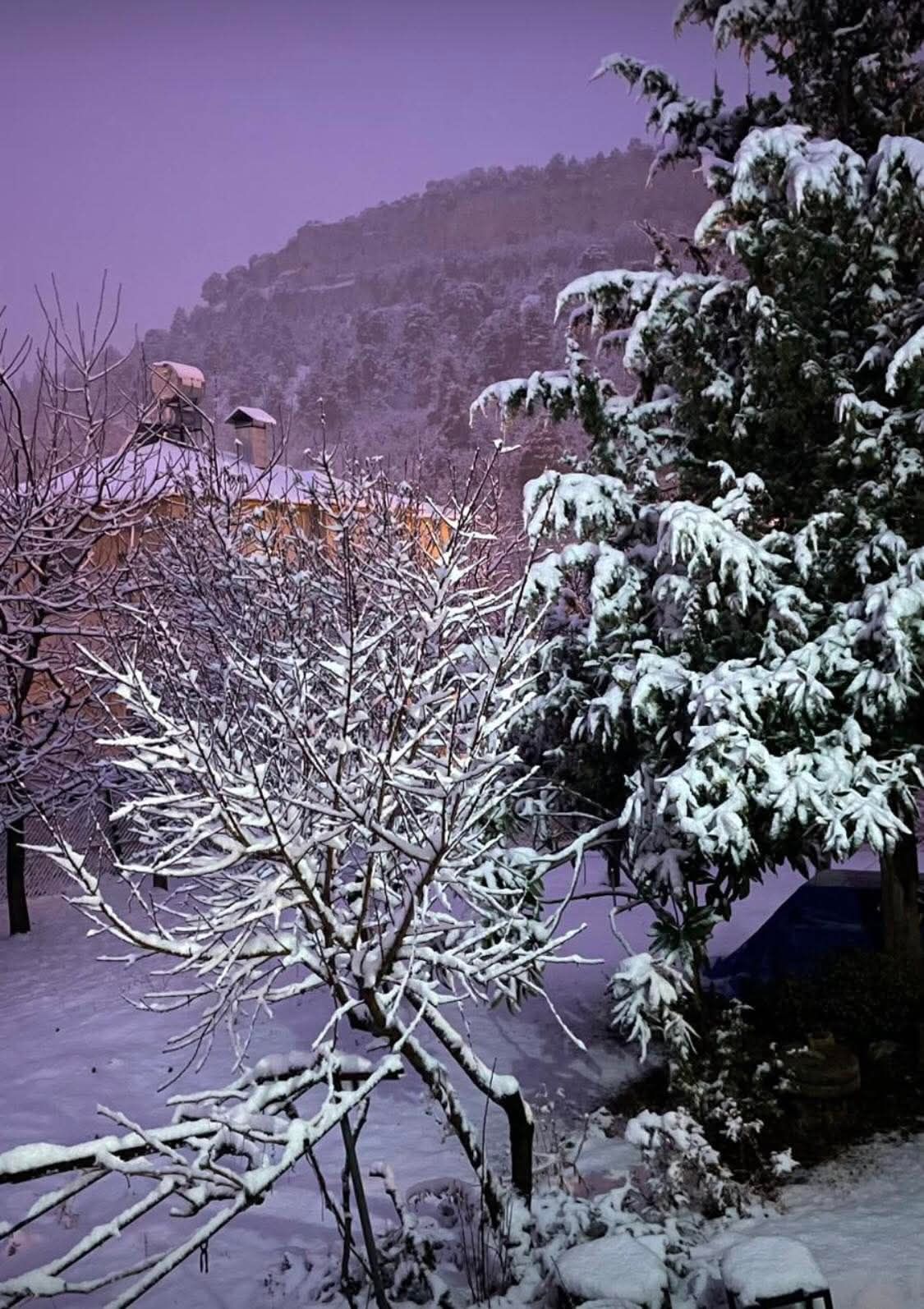 608942328 1692882702057804 3836050900559431099 N