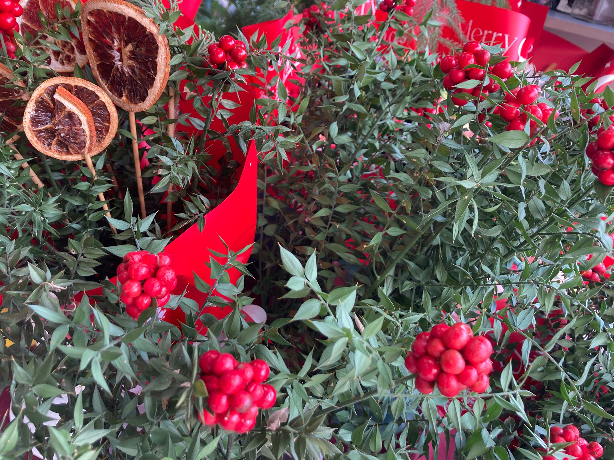 888A01Fc 11Ee 4417 A113 82240E5Bae1A