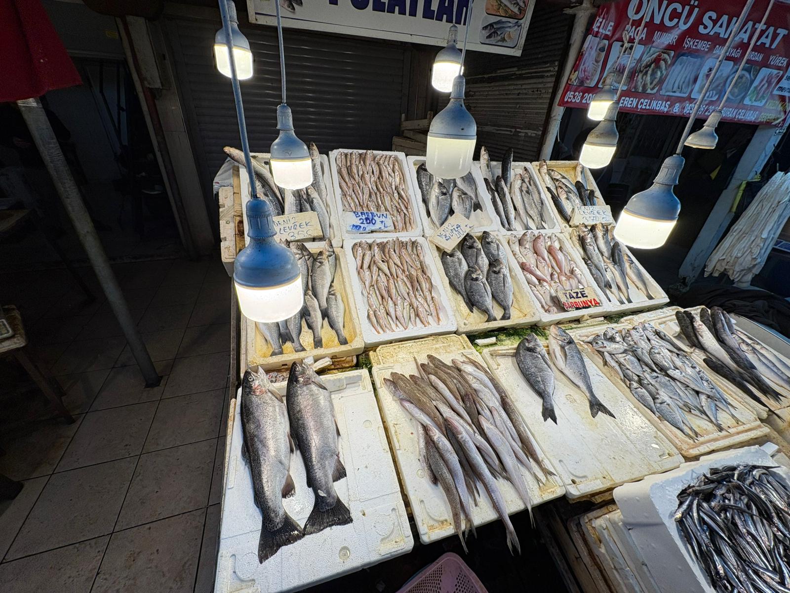 95Ec4D99 41Aa 49Fd Aa29 D00F8889A6C5