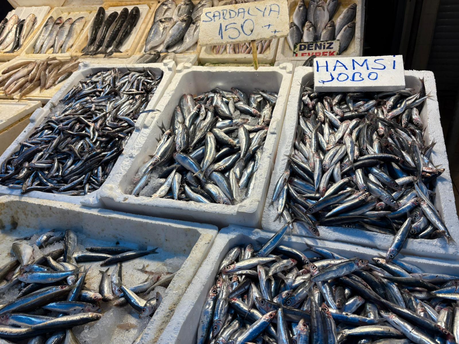 A1Db803D 4Fff 4C22 8Ab4 0243B5Cee05C