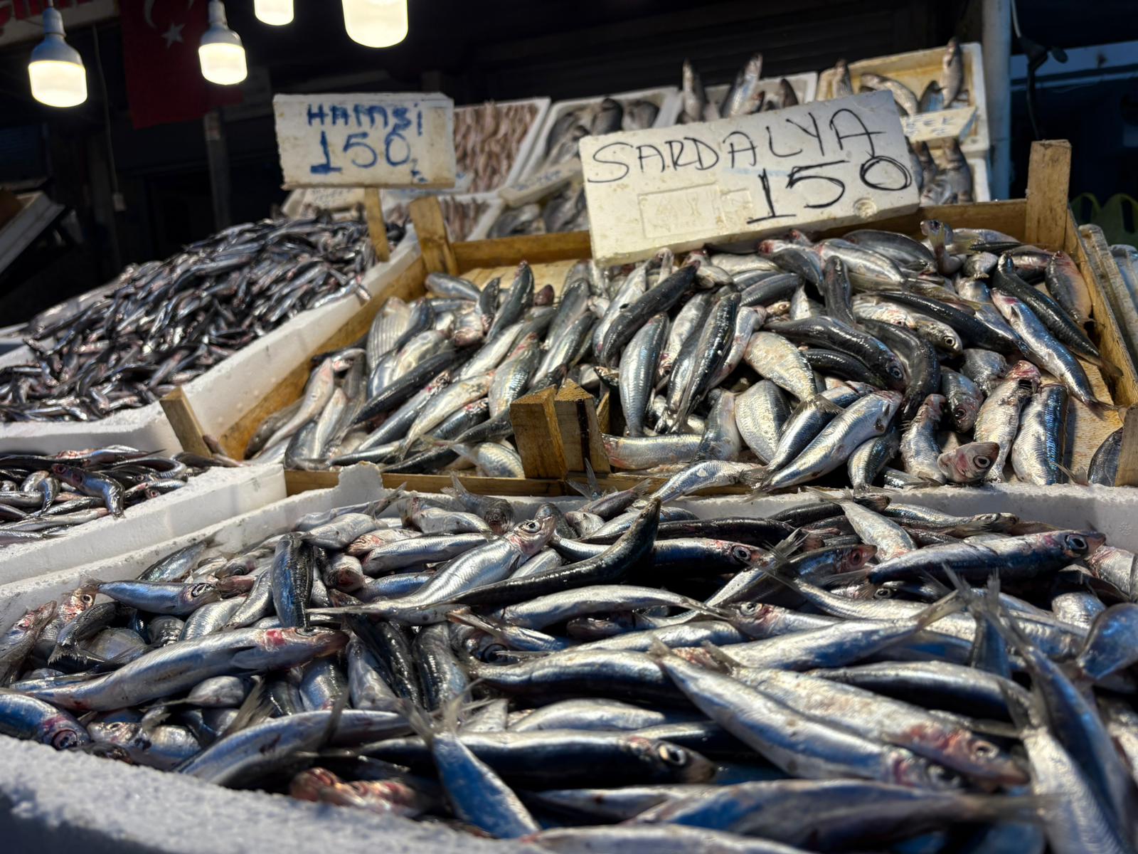 A9822B8D 5776 425F 8594 8Cbc550F434D