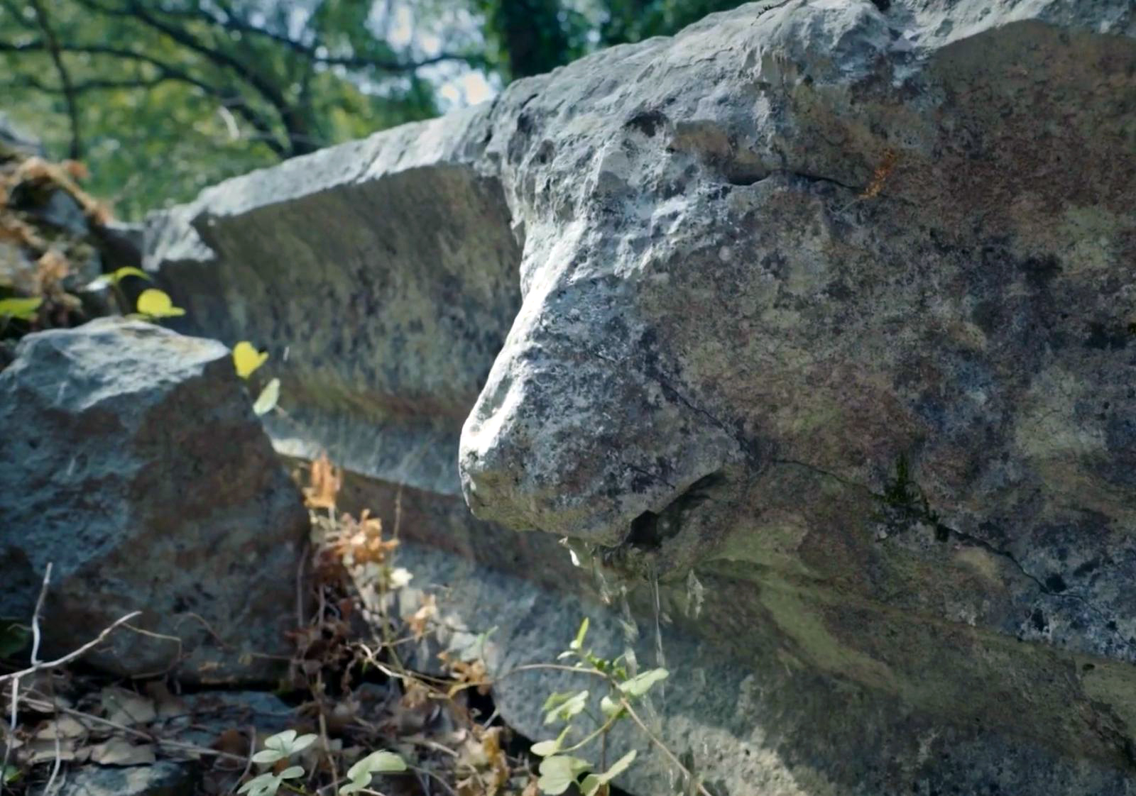 B U Y U K I S K E N D E R I N F E T H E D E M E D I G I A N T I K K E 1071714 318011