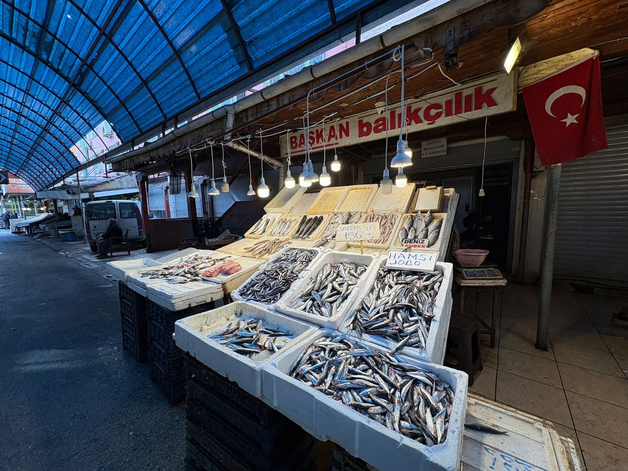 B51526Fb 7C6B 46B6 Bccd 3702A4C3E8C4