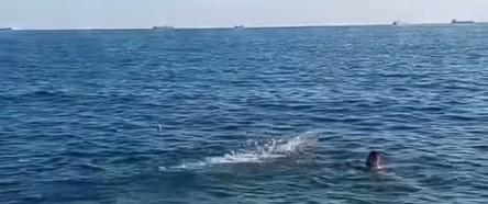 Ekran Görüntüsü 2025 12 14 153415