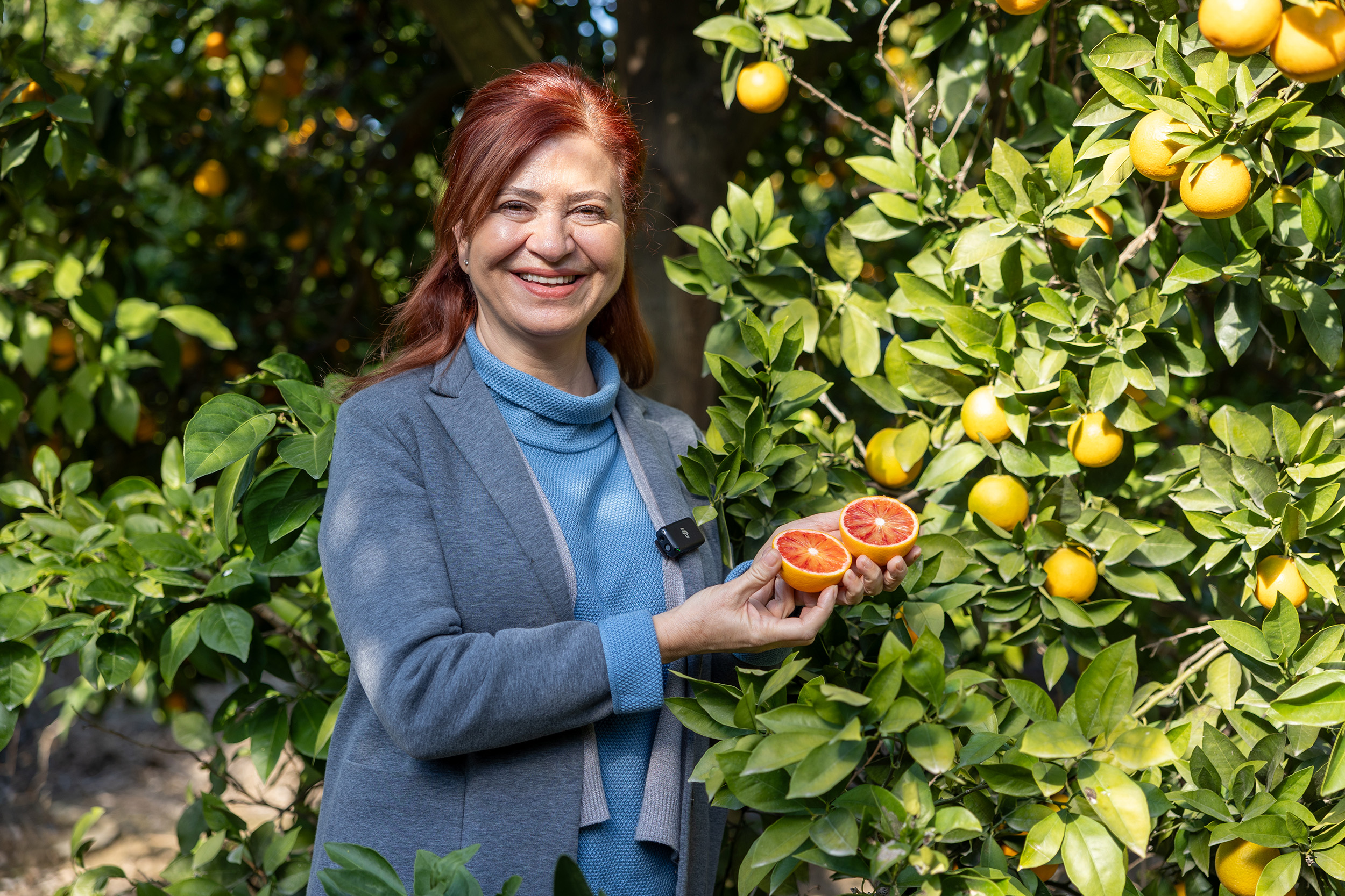 Mersi̇n Kan Portakali Coğrafi̇ İşaret Tesci̇li̇ni̇ Aldi (1)