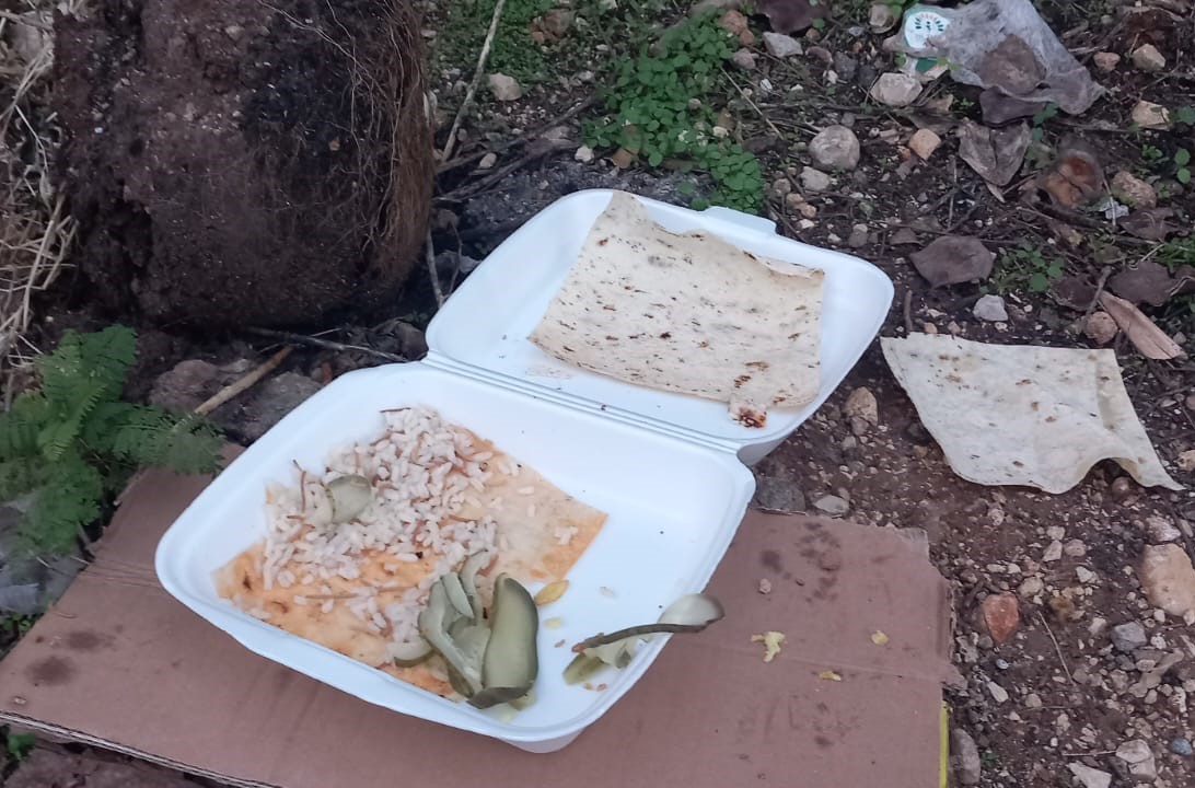 Whatsapp Image 2025 12 12 At 13.31.33 (1)