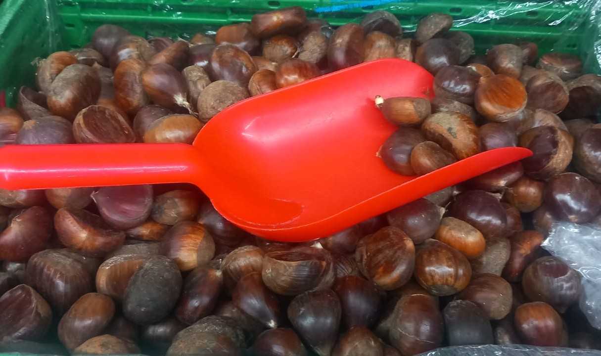 Whatsapp Image 2025 12 29 At 21.53.31 (1)