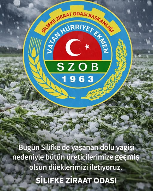 619425200 1291436463079006 3126438149305249835 N