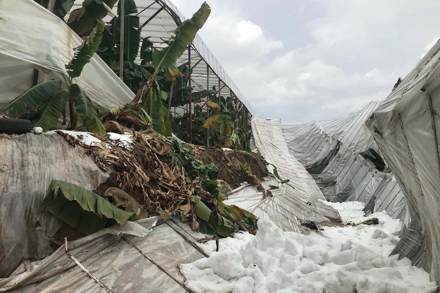 619907210 1423172883152897 3492274775796414630 N