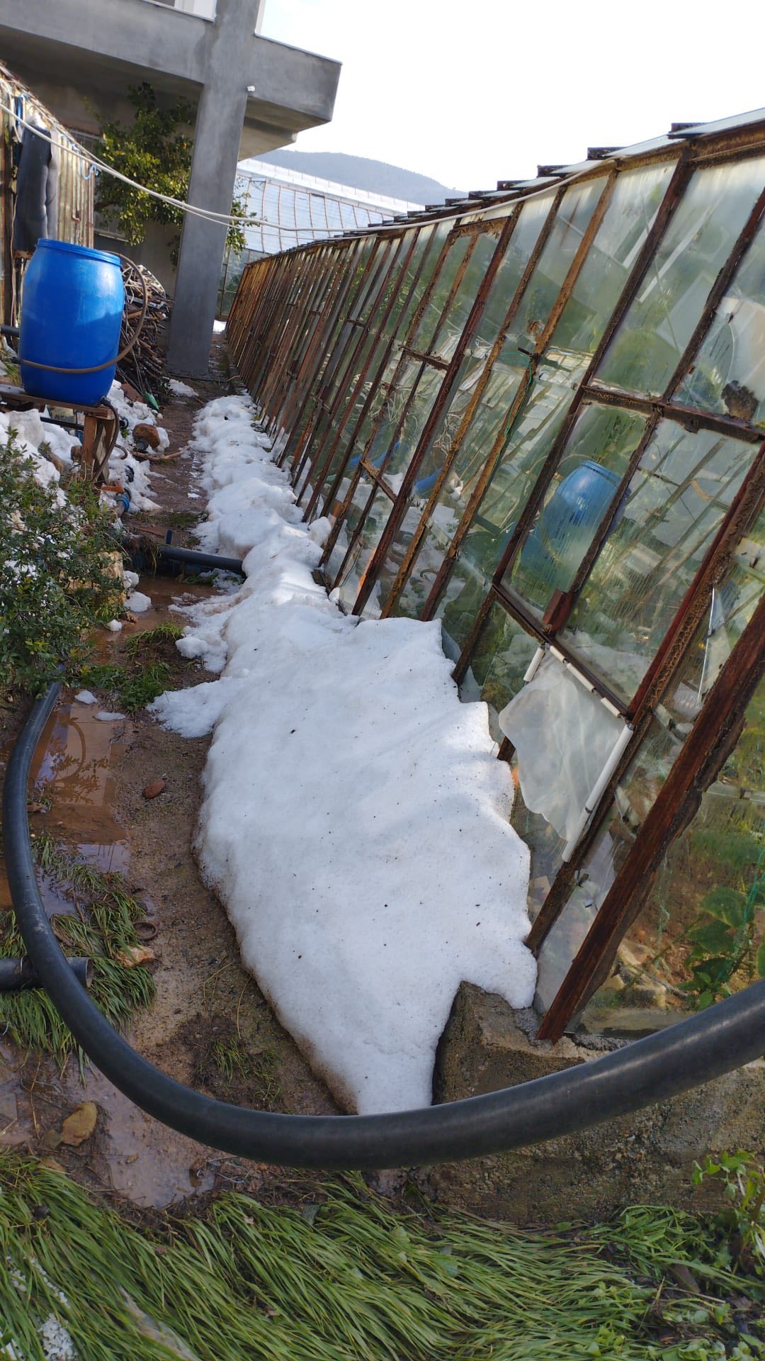 621658352 10163721386939594 7213382411190558064 N