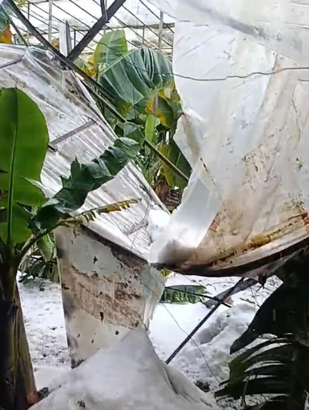 622407319 18556653514006132 6621999203621127898 N