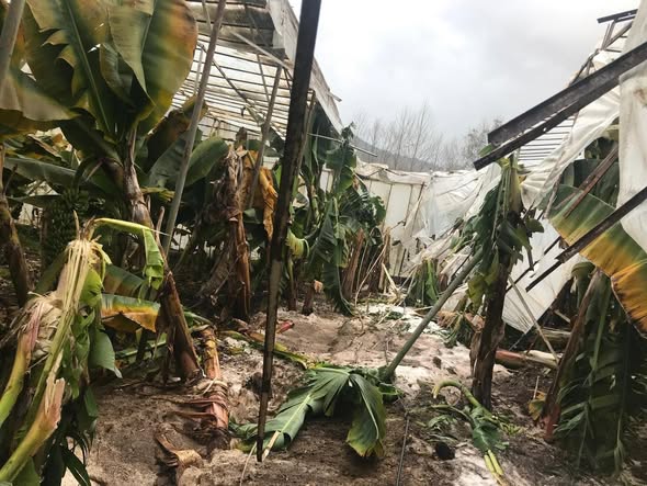 622787217 1498910658784458 3815055998206696754 N