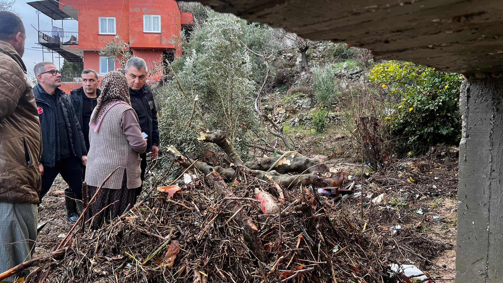 623103045 1359685849520707 6292284026640779833 N-1